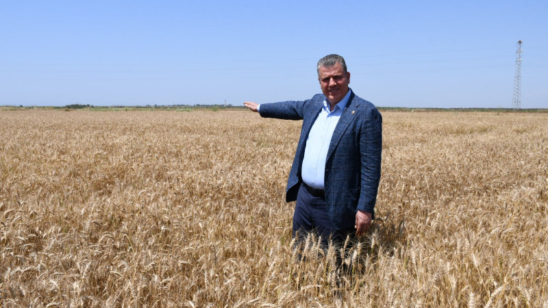 Ayhan Barut'tan açıklanan buğday taban fiyatına sert tepki