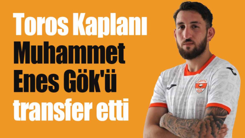 Toros Kaplanı Muhammet Enes Gök'ü transfer etti