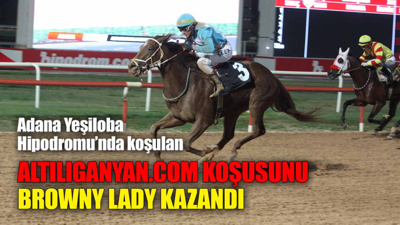 ALTILIGANYAN.COM KOŞUSUNU BROWNY LADY KAZANDI