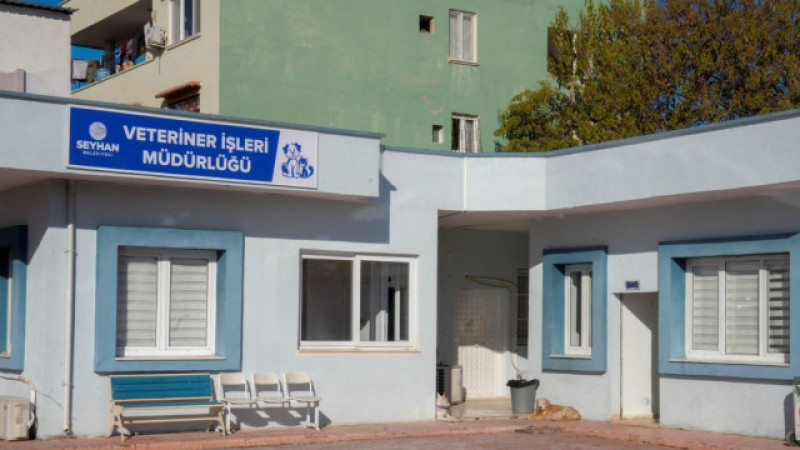 SEYHAN BELEDİYESİ’NDEN SOKAK HAYVANLARININ USULSÜZ TOPLANDIĞI İDDİALARINA YANIT