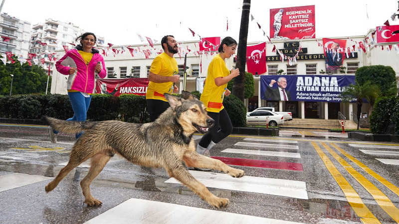 16. ULUSLARARASI ADANA KURTULUŞ YARI MARATONU KOŞULDU