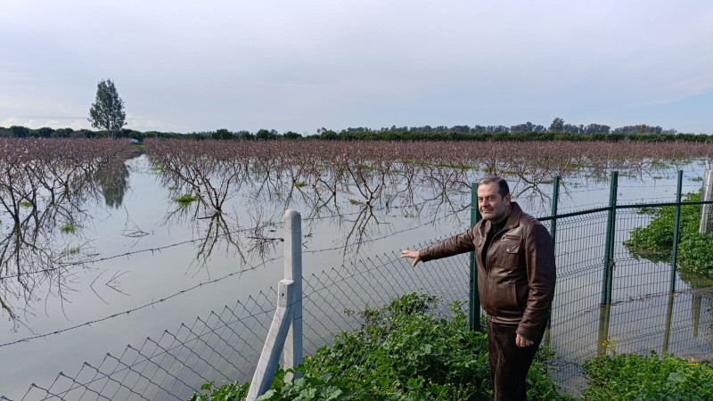 ÇUKUROVA TARIMI 2026’DA AŞIRI YAĞIŞLARIN BASKISI ALTINDA