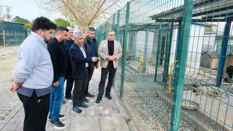 “Görüntüler Yanlış Yorumlanıyor: Bu Davranış ‘Yeme’ Değil”