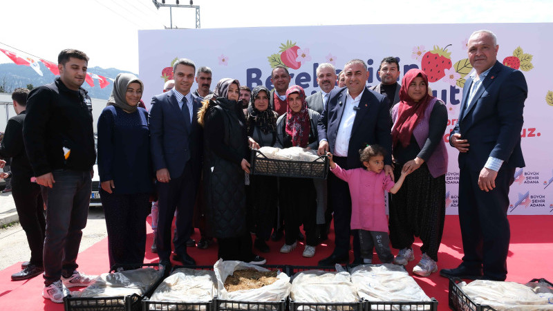 POZANTILI ÜRETİCİYE 900 BİN ÇİLEK FİDESİ DAHA DAĞITILDI