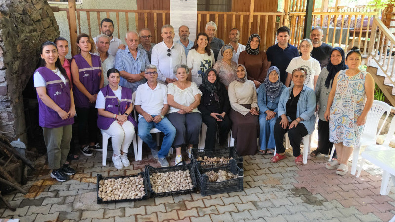 Beyaz Zambak Projesinde hasat dönemi